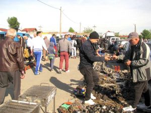 "Fiarele" - mare căutare