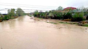 Ploile au umflat apele râurilor