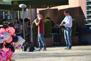 Gabriel şi Radu Ştefănescu