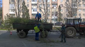 Alarmă... falsă pe Calea Bucureşti