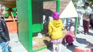 În Piaţa Primăriei, copilaşi şi... iepuraşi