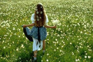 Sărbătoarea narciselor - la 8 mai