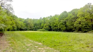 Platoul, aproape intact 