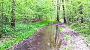 Drumuri mlăştinoase, numai bune de "atacat" 