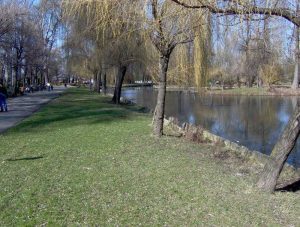 parcul strand – Ziarul Argeşul - ediţia online Parcul Strand