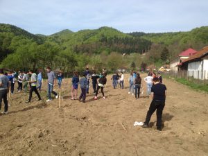 Noi microplantaţii şcolare