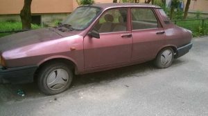 Mai scăpăm de rable cu programul 