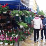 Se vând deja flori în Piaţa 