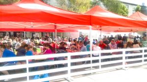 În Piaţa Primăriei a mirosit a mici