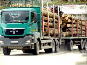 Turism în bătaie de joc!