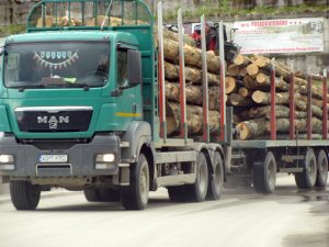 Pe Barajul Vidraru, sub ochii jandarmilor 