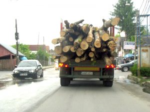 În Curtea de Argeş