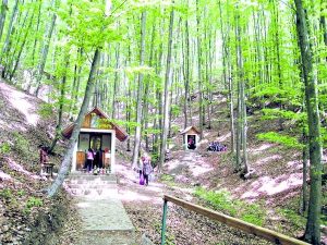 Biserica Izvoarelor de Leac