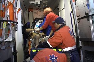 Tamponare cu trei victime la Cotmeana