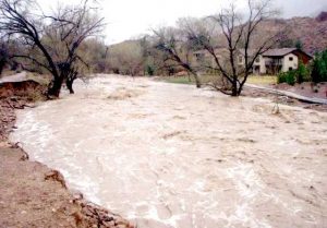 Ploile de ieri au dus la creşteri ale cotelor râurilor din judeţ