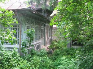 Curtea, năpădită de bălării