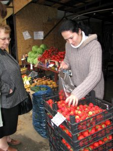 Ramona vinde căpşuni din producţia proprie 