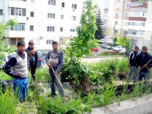 Echipă de ciorditori