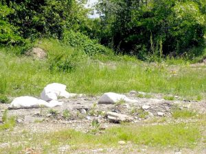 Din nou gunoaie pe malul râului Argeş!