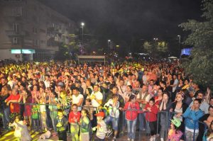 Se caută artişti pentru Zilele Piteştiului