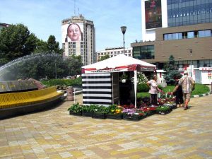 Cort montat chiar pe aleea din parc