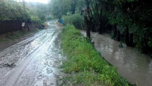 Ape ieşite din matcă