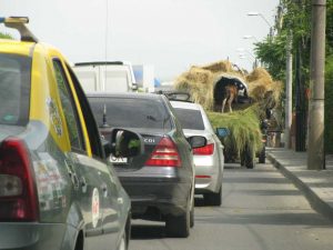carute 009 – Ziarul Argeşul - ediţia online Coloană de maşini în spatele căruţelor