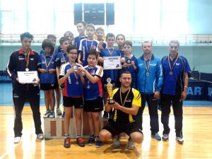 Au valoare şi talent cu carul, dar nu şi susţinere financiară