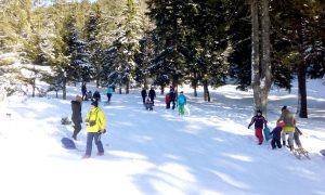 În prima zi a anului - Transfăgărăşanul, asaltat de turişti