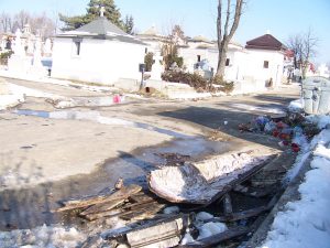 La cimitir, imagini revoltătoare