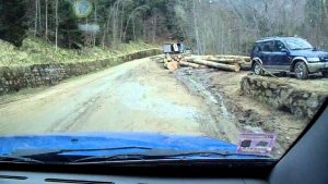 Stop camioanelor cu lemne pe Transfăgărăşan!