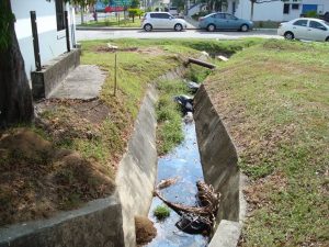 Investiţie în cartierul Craiovei