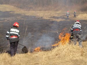 Pompierii argeşeni, puşi pe jar de incendiile de vegetaţie