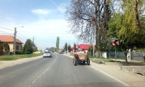 Apel al şoferilor către Poliţia Rutieră - Salvaţi-ne de căruţele de pe drumurile naţionale!