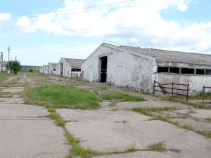 Până la preluarea fermei de către israelian, era dezastru