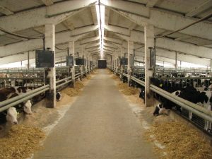 În hală e curăţenie "lună"