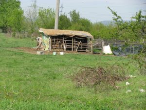 Avem şi stână la Piteşti?!