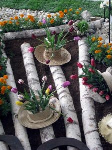 A început Simfonia lalelelor 2017 – Ziarul Argeşul - ediţia online A început Simfonia lalelelor 2017