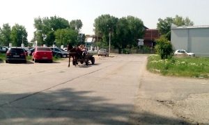 Şi Piteştiul este asaltat de căruţe