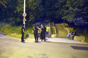 Mascaţi ai Poliţiei Locale, într-un parc din municipiu – Ziarul Argeşul - ediţia online