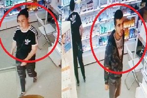 Hoţii din farmacie, identificaţi