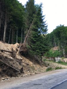 Cine răspunde pentru distrugerea DN7C?