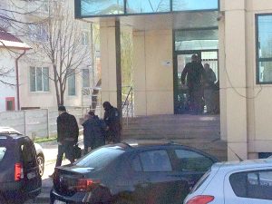 Cultivau canabis în grădină