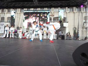 Demonstraţii de karate – Ziarul Argeşul - ediţia online