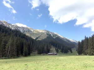 Şi ne mai mirăm că natura se răzbună!