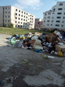 Mormane de gunoi în Câmpulung