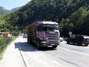 Cine dă socoteală pentru jaful pădurilor din Argeş?