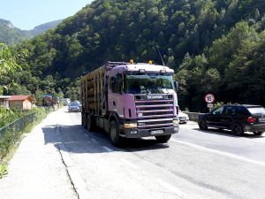 Pădurile Argeşului - tăiate zi de zi, fără nicio jenă!