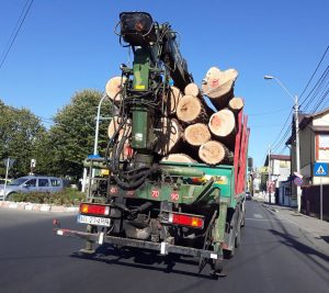 Şi Poliţia Argeş ne comunică - Rămânem fără păduri... legal!