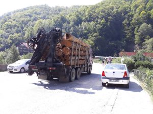 Oficial, sunt lemne de foc – Ziarul Argeşul - ediţia online